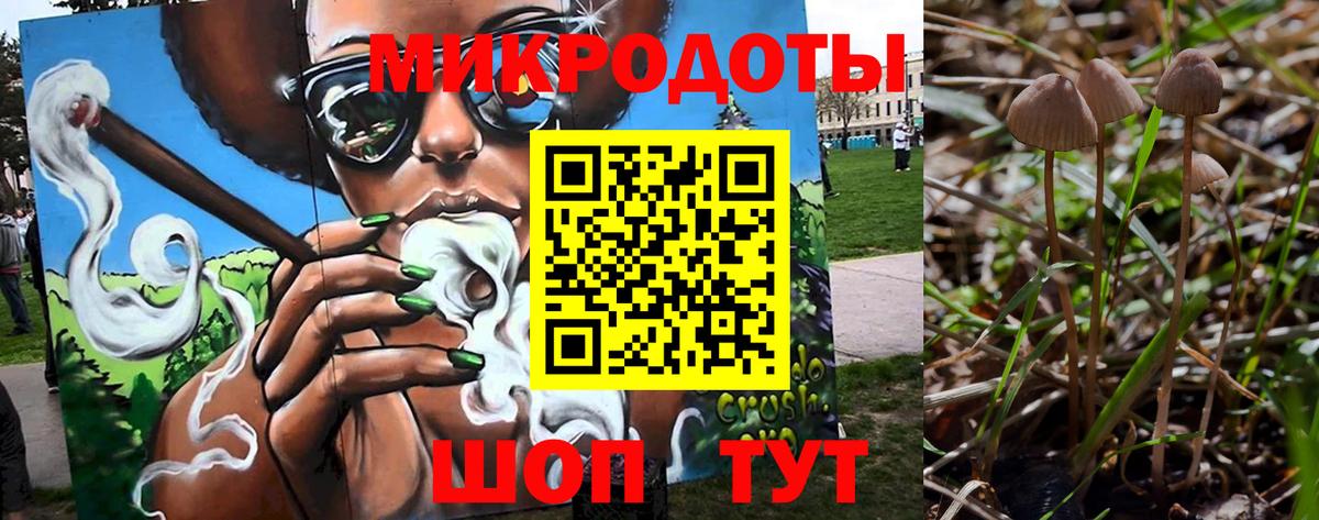 Галлюциногенные грибы GOLDEN TEACHER  Галлюциногенные грибы мицелий  Вход с VPN  Камень-на-Оби 